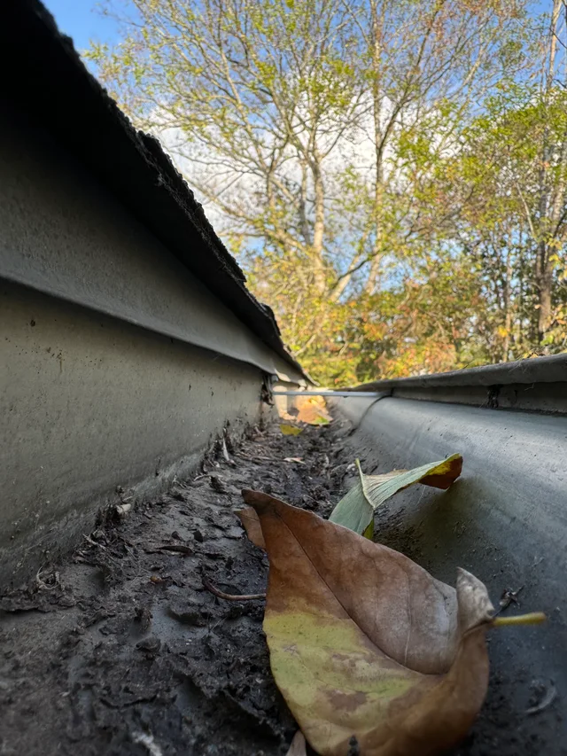 Leaves and debris in a gutter before cleaning